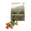 Multi Functional Book Shaped Vase 1