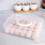 1-Layer Plastic Deviled Egg Carrier Tray with Lid, Fridge Stackable & Portable, Clear Storage Platter for Party, Picnic, Travel 4