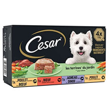CESAR Barquettes en terrine - 4 variÃtÃs - Pour chien adulte - 4 x 150 g
