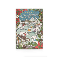 Lily's Kitchen Advent Calendar for Dogs