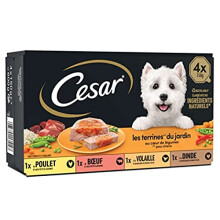 Cesar Trays Country Recipes for Vegetables, 4 x 150 g