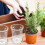 5Sets Clear Plastic Orchidee Potten Met Drainagel En Tray 3