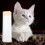 2 Rolls Cat Litter Box Liners Drawstring Pan Bags For Indoor 9