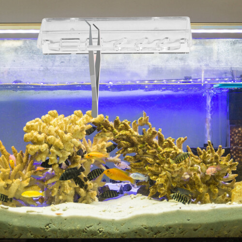 Fish Tank 14.20x5.20x2.60cm Transparent 2