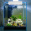 Fish Tank 14.20x5.20x2.60cm Transparent 8