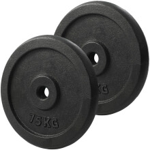 (2 x 20kg) Pair of Iron Weight Plates