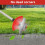 24V Cordless Strimmer & 2 Batteries 8