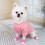 8Stk Strapazierfähige Polyester Hundesocken Mit Antirutsch Sohle 3