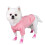 8Stk Strapazierfähige Polyester Hundesocken Mit Antirutsch Sohle 4