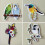 20St Kleding Appliqués Patch 6