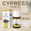 (3PCS) Έλαιο Cyperus Rotundus, Φυσικό Έλαιο Cyperus Rotundus για Αποτρίχωση & Μ 3