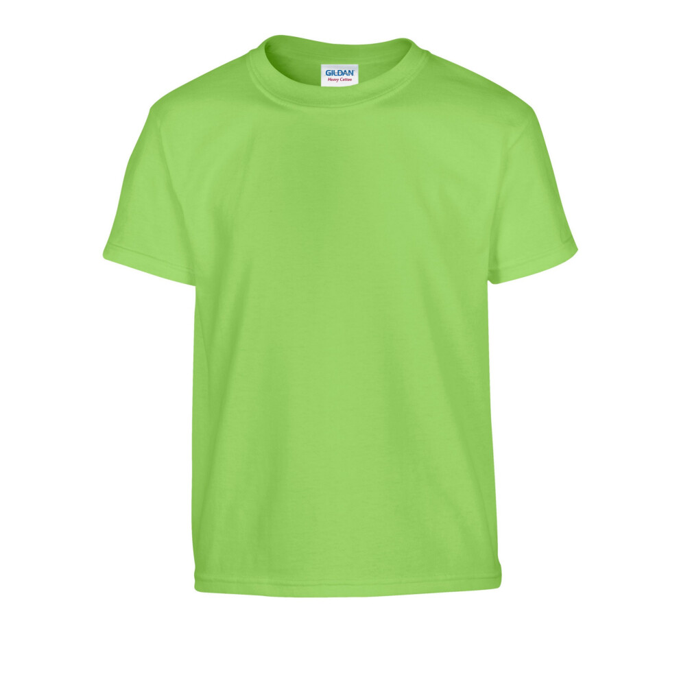 Gildan (L, Lime) Childrens/Kids Heavy Cotton T-Shirt Multicoloured