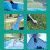 Quick Pop Up Tent for Hiking Trips 6