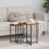 VidaXL vidaXL Side Table Set 2 pcs Smoked Oak and Black 1