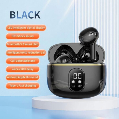 Enceintes Bluetooth sans fil avec 48 heures d'autonomie Noir 1
