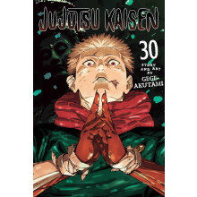 Jujutsu Kaisen, Vol. 30: Volume 30