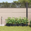 VidaXL vidaXL Garden Planter 4 pcs Black Plastic 3