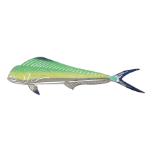 6Sets Shark Stainless Steel Wall Sculpture Light Green Room Decor