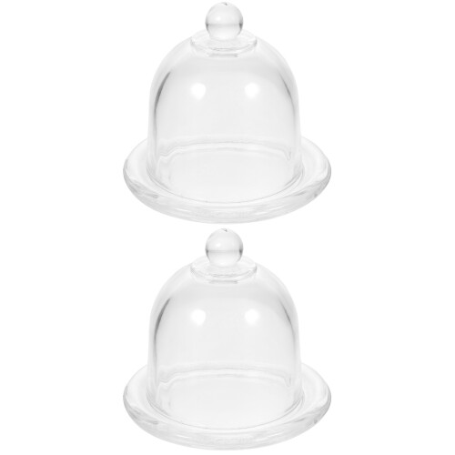 2Pcs Glass Cake Holder with Dome Elegant Covered Dessert Plate