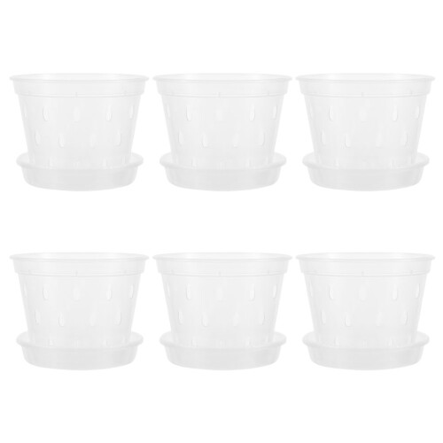 6 Sets Root Control Pots Clear Net Orchid Nursery