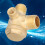 Brass 3 Way Check Valve 323 10