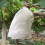 100pcs Felt Planting Bags White 3