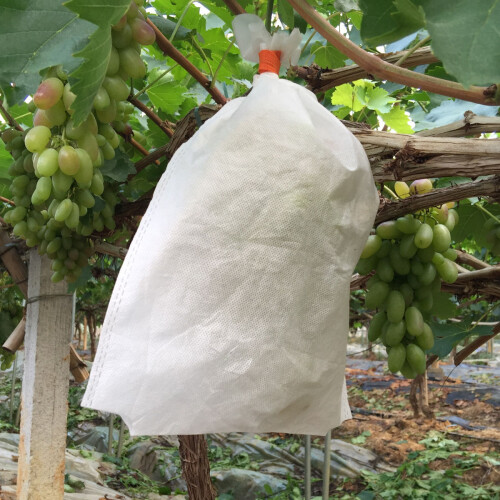 100pcs Felt Planting Bags White 2