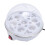 Electric Egg Boiler 350W 7 Eggs Anti Dry 12