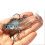 10Leurres Crevettes Multicolores Légers Effet 5
