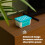 LIVIVO 500ml Teardrop Disposable Dehumidifier 5-pack 3