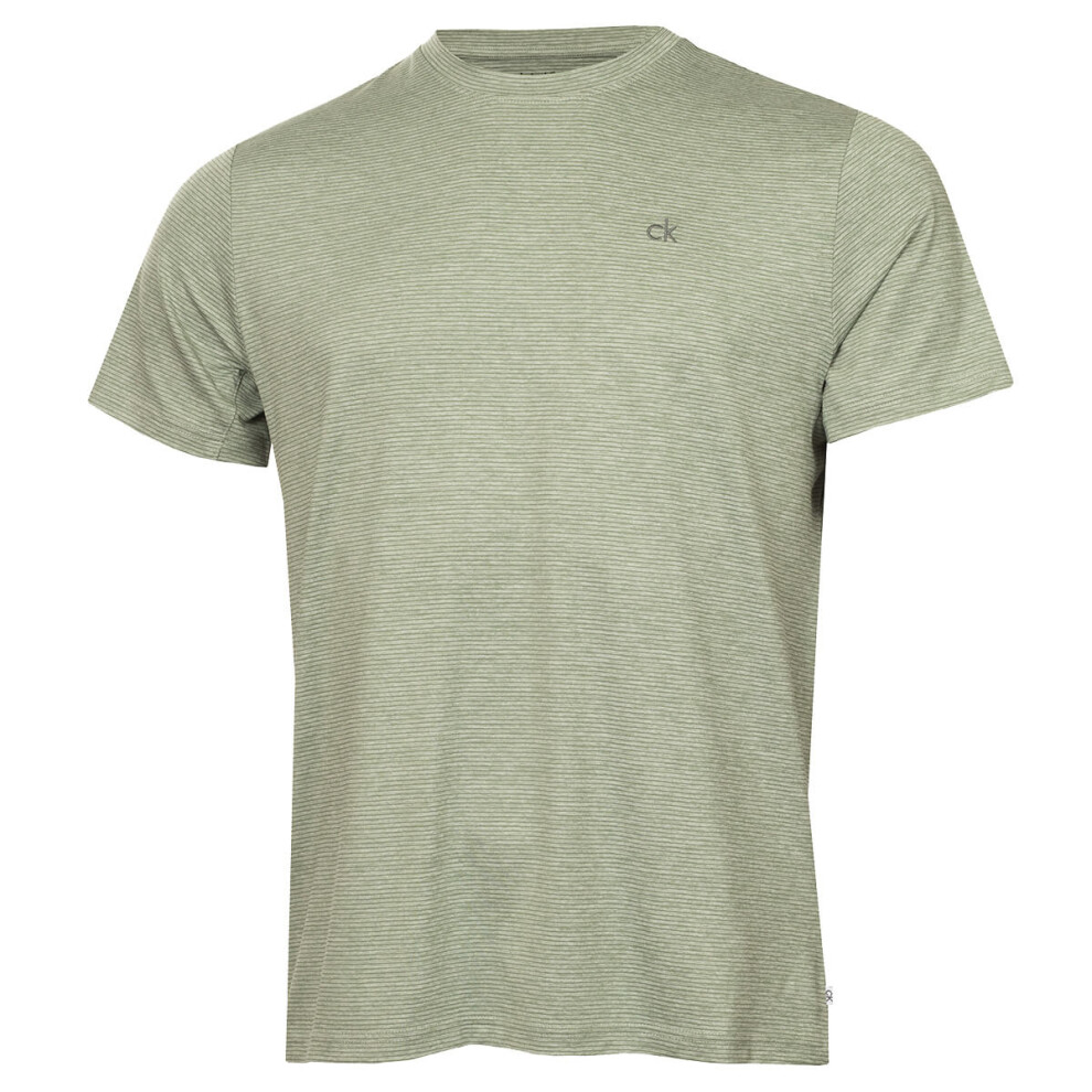 Calvin Klein (M, Sage) Mens Cruise Breathable Moisture Wicking Quick Drying T-Shirt Green