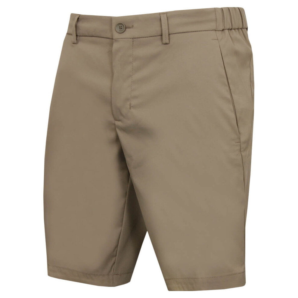 Hugo Boss (L, Light/Pastel Green) Mens 2026 Phoenix Pro Four Way Stretch Quick Drying Golf Shorts