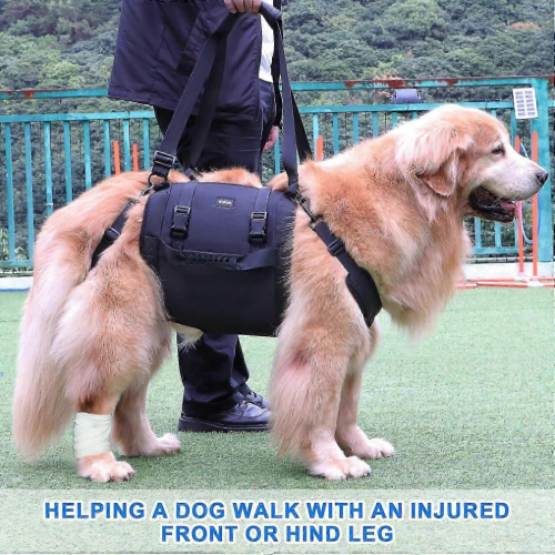Ζώνη Στήριξης Σκύλου, Ζώνη Επείγουσας Ανάρρωσης, Βοήθημα Αποκατάστασης Ποδι 1