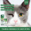 Colirios para perros y gatos 60 ml 5