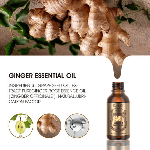 Olio Essenziale Di Zenzero 30ml 2