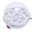 7 Egg Rapid Cooker 350W Anti Dry Burn Home 8