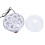 7 Egg Rapid Cooker 350W Anti Dry Burn Home 9