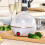 7 Egg Rapid Cooker 350W Anti Dry Burn Home 15