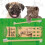 Brosses à dents pour animaux de compagnie 3 pièces/boîte 3