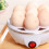 7 Egg Rapid Cooker 350W Anti Dry Burn Home 7
