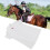 Kids Equestrian Top Moisture Wicking 9