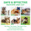Spray refrescante para el control de plagas de mascotas 100 ml 3