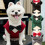 Costume formel pour chien, ajustement confortable pour les-4XL 3 2