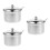 3Pcs Stainless Steel Condiment Jars with Lid Silver Kitchen Storage 3