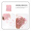 1Rouleau Craft Rose En Polyester Pour Couture Décoration DIY 5