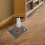 1Petfeedingmat Antidérapant En Diatomite Noir Pour Chat 1