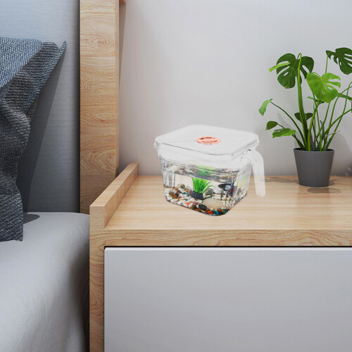 Mini Aquarium Transparent Avec Couvercle Pour 2
