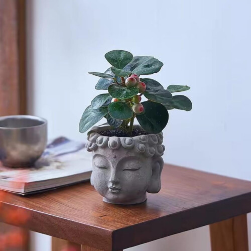 Multifunctional Buddhas Shape Cement Planter Including Drainage 2