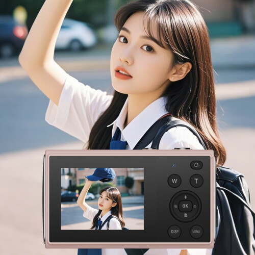 Entry Level 4K Camera Double Display 8000W Resolution Auto-Pink 1