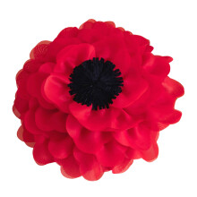 Organza Pillow Cover for Enhancing Decoration on Sofa Bed and-3